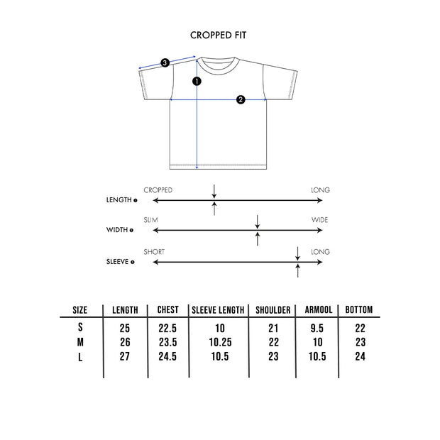 Stonewash Crop Patch Tee